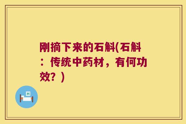 刚摘下来的石斛(石斛：传统材，有何功效？)