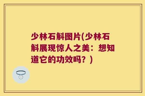 少林石斛图片(少林石斛展现惊人之美：想知道它的功效吗？)
