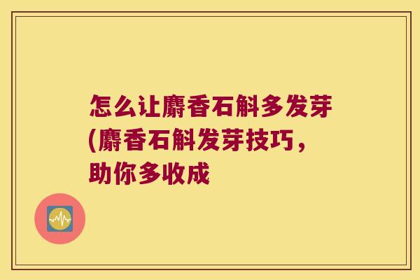 怎么让麝香石斛多发芽(麝香石斛发芽技巧，助你多收成