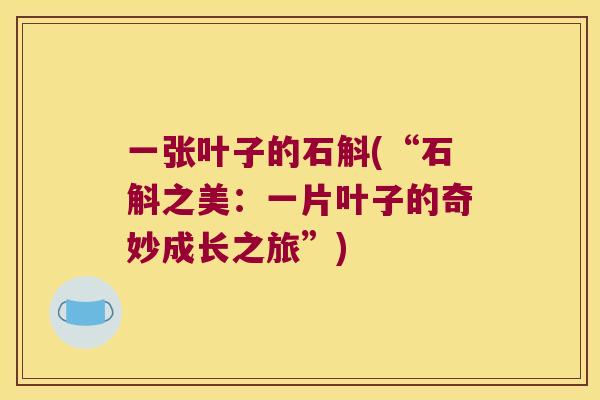 一张叶子的石斛(“石斛之美：一片叶子的奇妙成长之旅”)