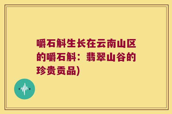 嚼石斛生长在云南山区的嚼石斛：翡翠山谷的珍贵贡品)