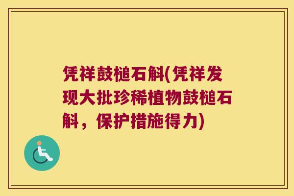 凭祥鼓槌石斛(凭祥发现大批珍稀植物鼓槌石斛，保护措施得力)