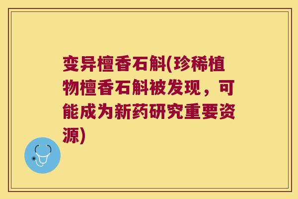 变异檀香石斛(珍稀植物檀香石斛被发现，可能成为新药研究重要资源)