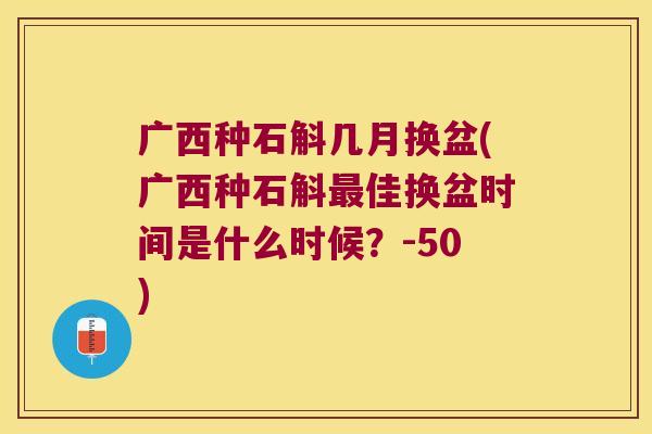 广西种石斛几月换盆(广西种石斛佳换盆时间是什么时候？-50)