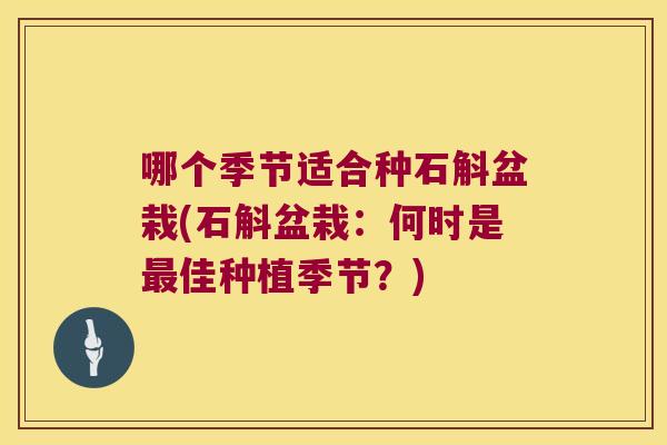 哪个季节适合种石斛盆栽(石斛盆栽：何时是佳种植季节？)