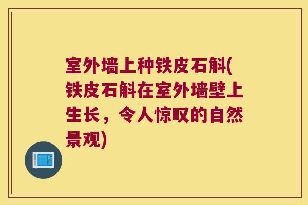 室外墙上种铁皮石斛(铁皮石斛在室外墙壁上生长，令人惊叹的自然景观)