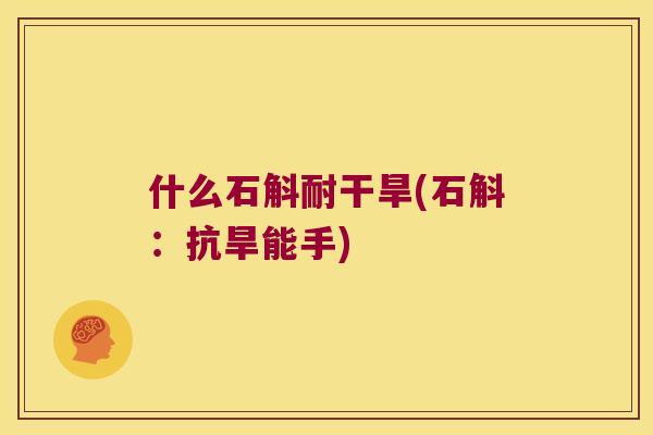 什么石斛耐干旱(石斛：抗旱能手)