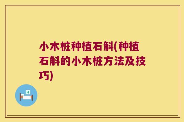 小木桩种植石斛(种植石斛的小木桩方法及技巧)