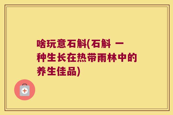 啥玩意石斛(石斛 一种生长在热带雨林中的养生佳品)