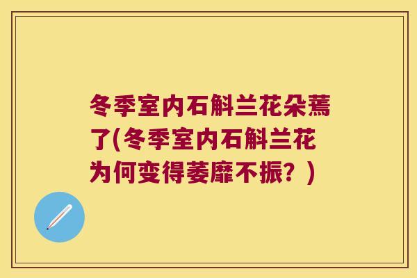 冬季室内石斛兰花朵蔫了(冬季室内石斛兰花为何变得萎靡不振？)