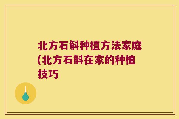 北方石斛种植方法家庭(北方石斛在家的种植技巧