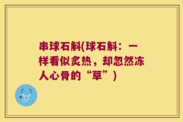 串球石斛(球石斛：一样看似炙热，却忽然冻人心骨的“草”)
