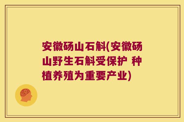 安徽砀山石斛(安徽砀山野生石斛受保护 种植养殖为重要产业)