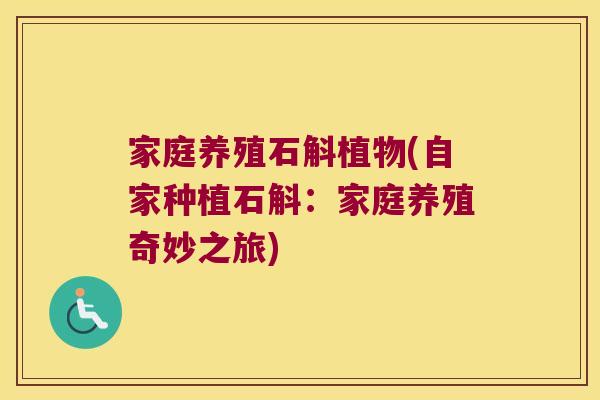 家庭养殖石斛植物(自家种植石斛：家庭养殖奇妙之旅)