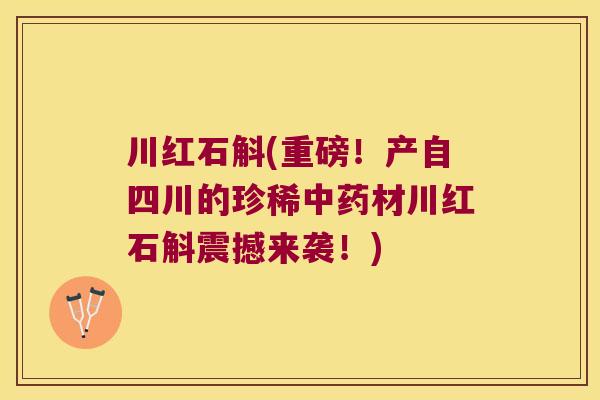 川红石斛(重磅！产自四川的珍稀材川红石斛震撼来袭！)