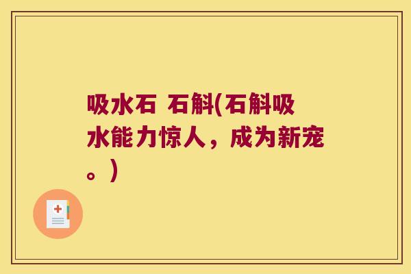 吸水石 石斛(石斛吸水能力惊人，成为新宠。)