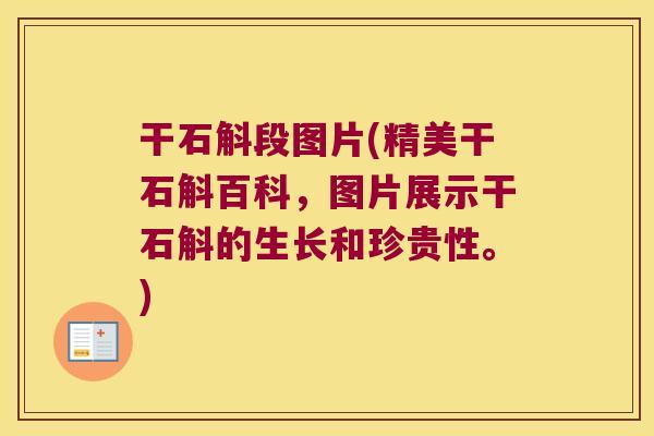 干石斛段图片(精美干石斛百科，图片展示干石斛的生长和珍贵性。)