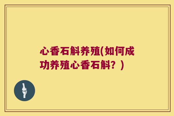 心香石斛养殖(如何成功养殖心香石斛？)