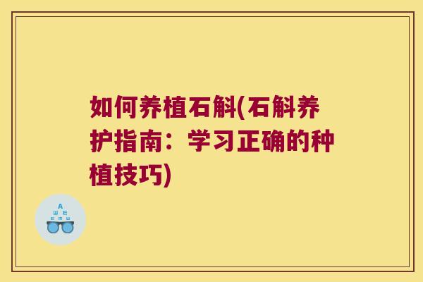 如何养植石斛(石斛养护指南：学习正确的种植技巧)