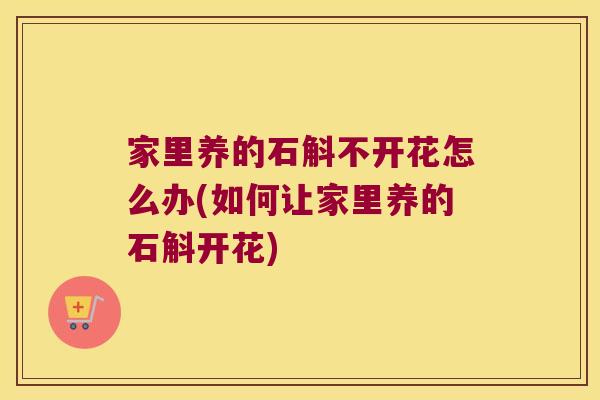 家里养的石斛不开花怎么办(如何让家里养的石斛开花)