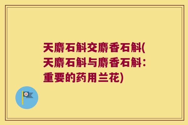 天麝石斛交麝香石斛(天麝石斛与麝香石斛：重要的药用兰花)