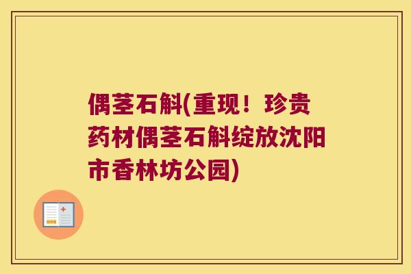 偶茎石斛(重现！珍贵药材偶茎石斛绽放沈阳市香林坊公园)