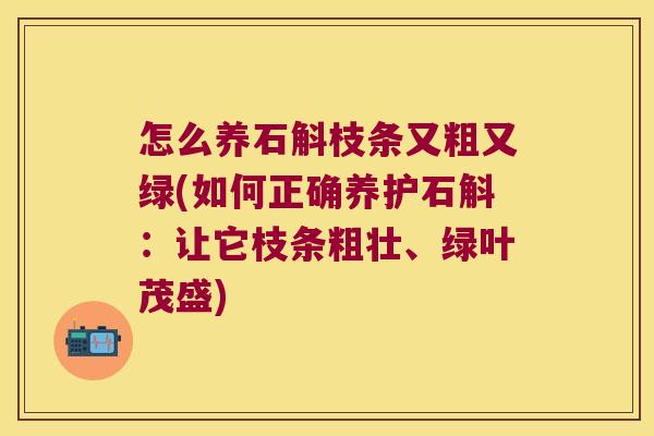 怎么养石斛枝条又粗又绿(如何正确养护石斛：让它枝条粗壮、绿叶茂盛)