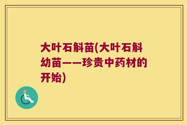 大叶石斛苗(大叶石斛幼苗——珍贵中药材的开始)