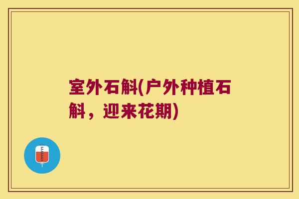 室外石斛(户外种植石斛,迎来花期) 室外石斛(户外种植石斛,迎来花期)