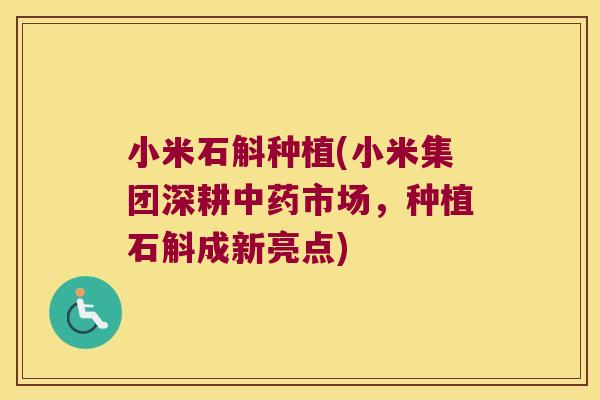 小米石斛种植(小米集团深耕中药市场，种植石斛成新亮点)