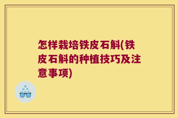 怎样栽培铁皮石斛(铁皮石斛的种植技巧及注意事项)