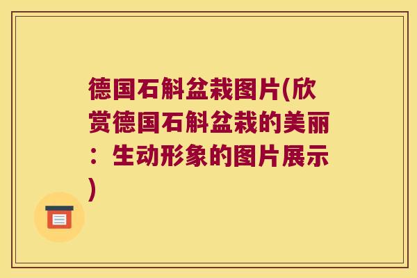 德国石斛盆栽图片(欣赏德国石斛盆栽的美丽：生动形象的图片展示)