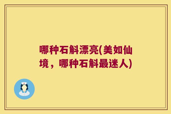 哪种石斛漂亮(美如仙境，哪种石斛最迷人)