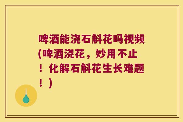 啤酒能浇石斛花吗视频(啤酒浇花，妙用不止！化解石斛花生长难题！)