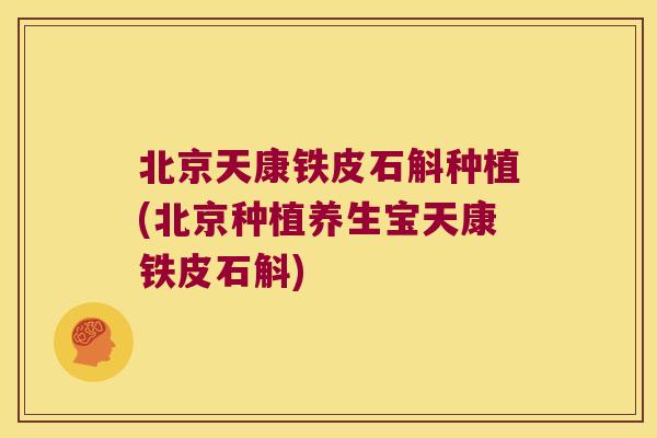 北京天康铁皮石斛种植(北京种植养生宝天康铁皮石斛)