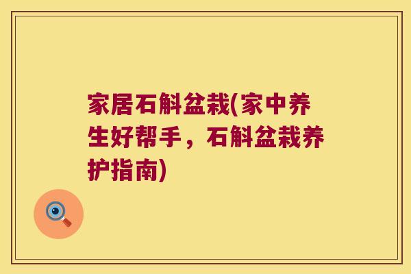 家居石斛盆栽(家中养生好帮手，石斛盆栽养护指南)