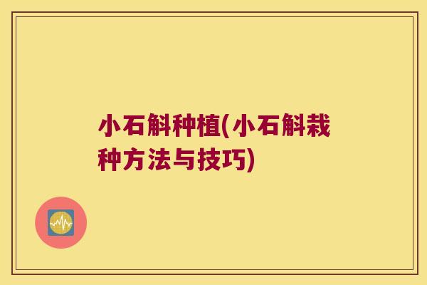小石斛种植(小石斛栽种方法与技巧)