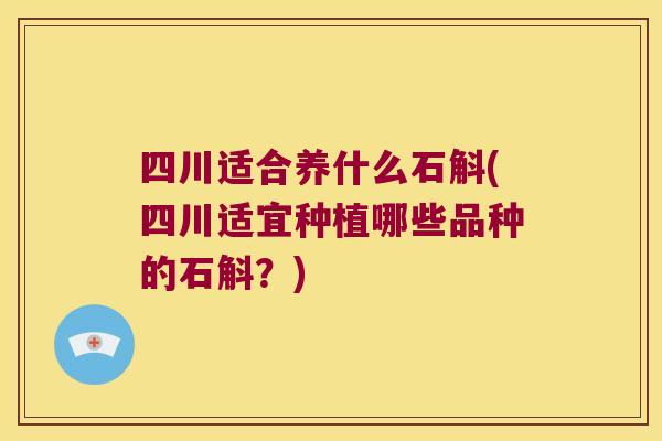 四川适合养什么石斛(四川适宜种植哪些品种的石斛？)