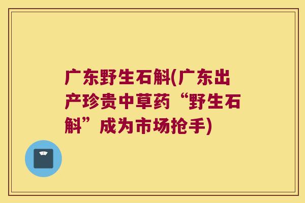 广东野生石斛(广东出产珍贵中草药“野生石斛”成为市场抢手)