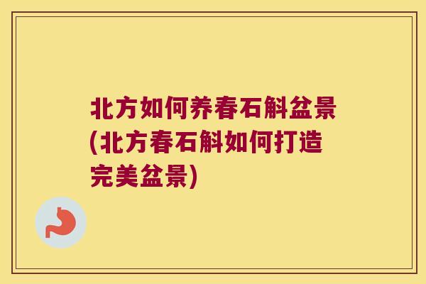 北方如何养春石斛盆景(北方春石斛如何打造完美盆景)