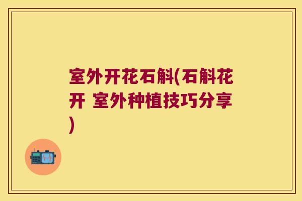 室外开花石斛(石斛花开 室外种植技巧分享)