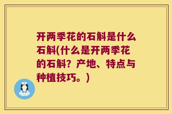 开两季花的石斛是什么石斛(什么是开两季花的石斛？产地、特点与种植技巧。)