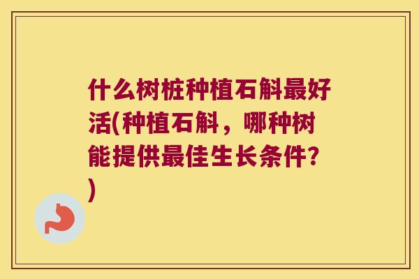 什么树桩种植石斛好活(种植石斛，哪种树能提供佳生长条件？)