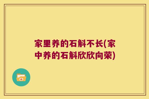 家里养的石斛不长(家中养的石斛欣欣向荣)