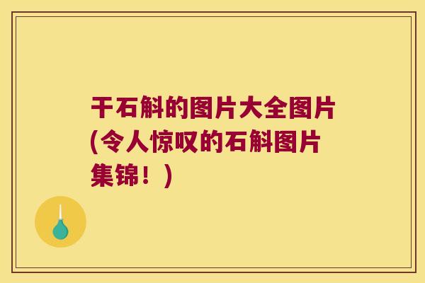 干石斛的图片大全图片(令人惊叹的石斛图片集锦！)
