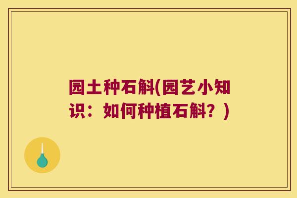 园土种石斛(园艺小知识：如何种植石斛？)