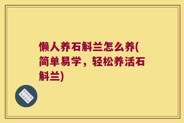 懒人养石斛兰怎么养(简单易学，轻松养活石斛兰)