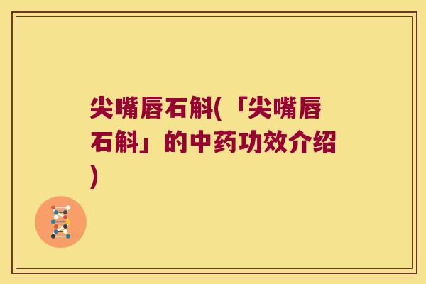 尖嘴唇石斛(「尖嘴唇石斛」的中药功效介绍)