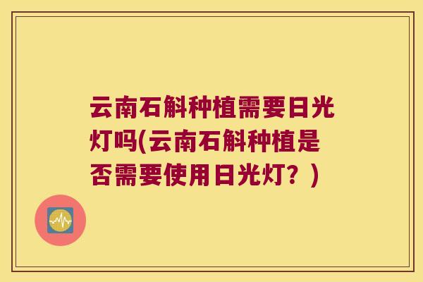 云南石斛种植需要日光灯吗(云南石斛种植是否需要使用日光灯？)