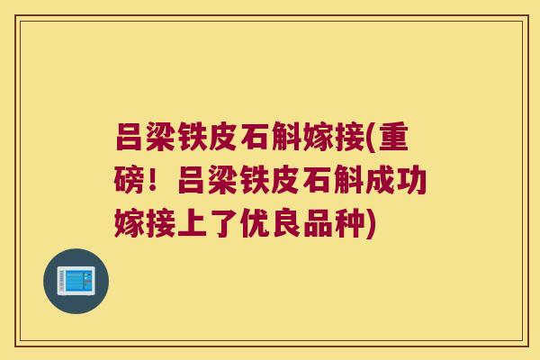 吕梁铁皮石斛嫁接(重磅！吕梁铁皮石斛成功嫁接上了优良品种)